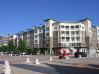 The Venue