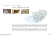 Emergent Explorations: Analog and Digital Scripting