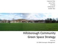 Green Space Strategy