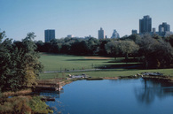 The Great Lawn Reconstruction, Central Park