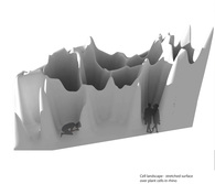 Plant cell design_Grasshopper and Rhino_2012