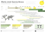 Infographic CV