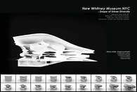 New whitney Museum NYC