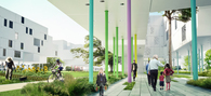 how to grow the city?