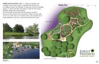 Homer Lake Playscape