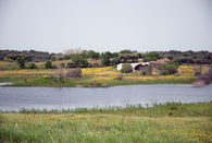 House in Monsaraz