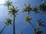 Molokai'i Redevelopment Plan