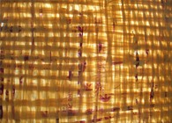 The Polymat-(Refuse recycled into a building material)