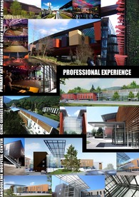 2005 - 2011 PROFESSIONAL EXPERIENCE