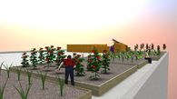 Vegetables Garden - Horto Contest