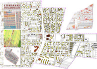 Lomianki - urban analysis