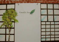Camellia Sinensis