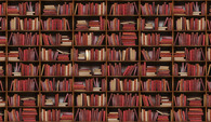 Bookshelf Owl