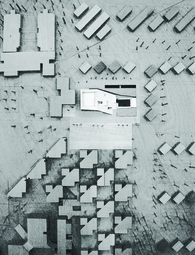 Building Landscape / Building Habitation - Williams & Tsien studio