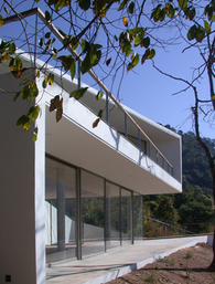 Zeivy House