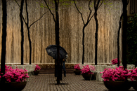 Photography: Architectural and Landscape 