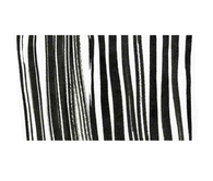 Canvas and stripes