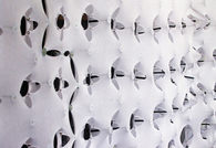 Lee Hall Privacy Screen
