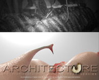 Architecture of Subterranean Species - Remove the designer from the process