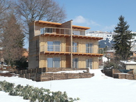 semi-detached timber eco-house