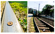 Penny Project (Summer 2011)