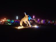 ReinCOWnation at Burning Man 2012