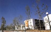 Main Green Zone – Olympic Village 