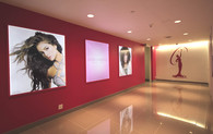 Miss Universe Organization