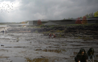 Falls of the Ohio Geology Center+