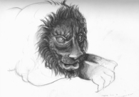Sketches