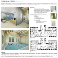 Cerebellum Center for Cerebral Palsy