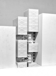 Undergraduate Thesis