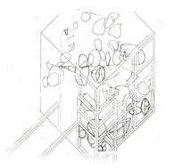 Engeneer, Programming, Construction Manager, Intern Architect