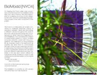 BioModd