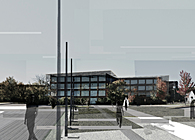 Knoll Design Collective