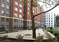 The Crown Heights Apartments