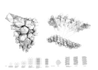 Platonic Solids