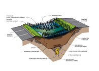 Bioswale