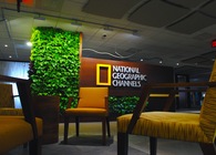 National Geographic Channels