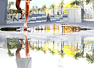 Behavior Driven Urban Landscape