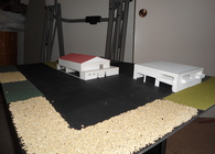 Capstone Project
