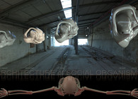 Architecture of Social Organisms