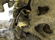 Render for Sadic Apiares