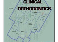 Orthodontic Clinic