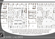 Estee Lauder office