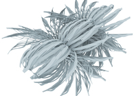 Generative Paper Strips