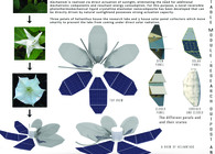 Bachelors Thesis Project