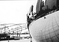 Trip N Chicago 