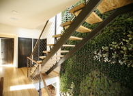 Pickford Residence