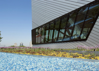Liza's Garden, Royal Ontario Museum (ROM)
